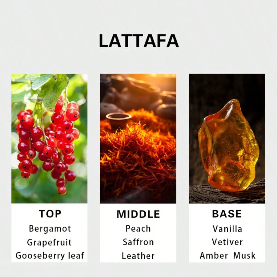 Hayaati Gold Elixir Erkek Parf - Perfume Fragrances incelemesi ve fiyatı