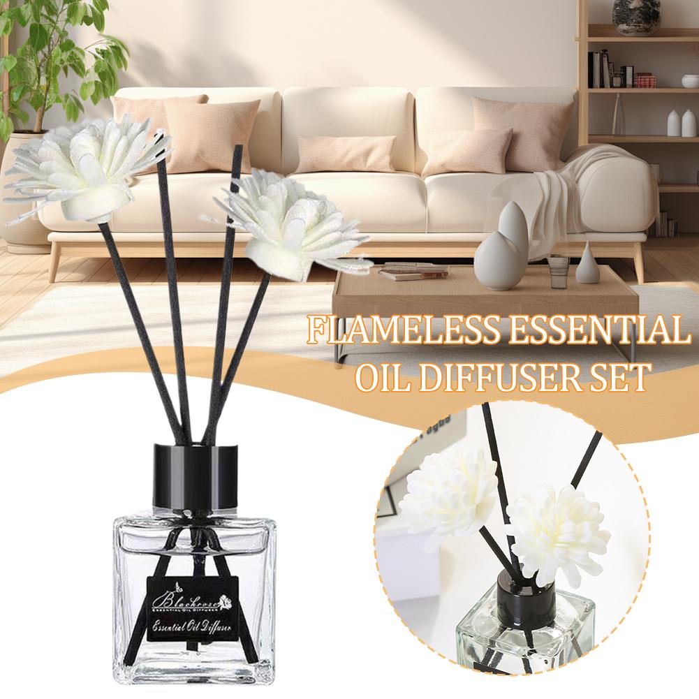 Alevsiz Ev Kokusu Frezya Lavan - Perfume Lavender Fragrance incelemesi ve fiyatı