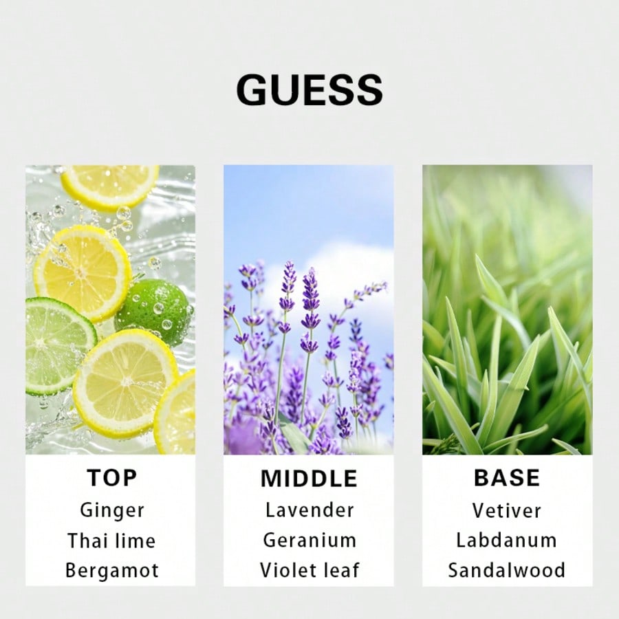 Guess Forever erkek Eau De Toi - Perfume Fragrances incelemesi ve fiyatı