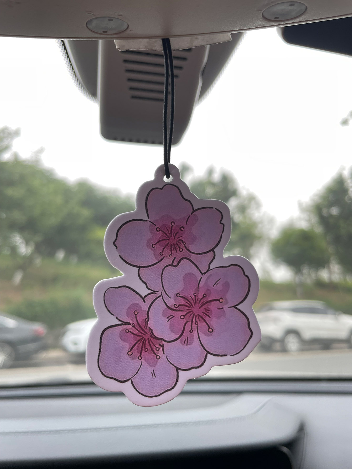 Sakura/Frezya Taze Kokulu Beş  - Perfume Fragrance Types incelemesi ve fiyatı