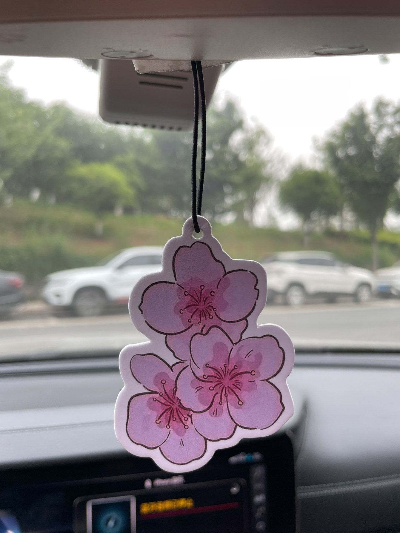 Sakura/Frezya Taze Kokulu Beş  - Perfume Fragrance Types incelemesi ve fiyatı